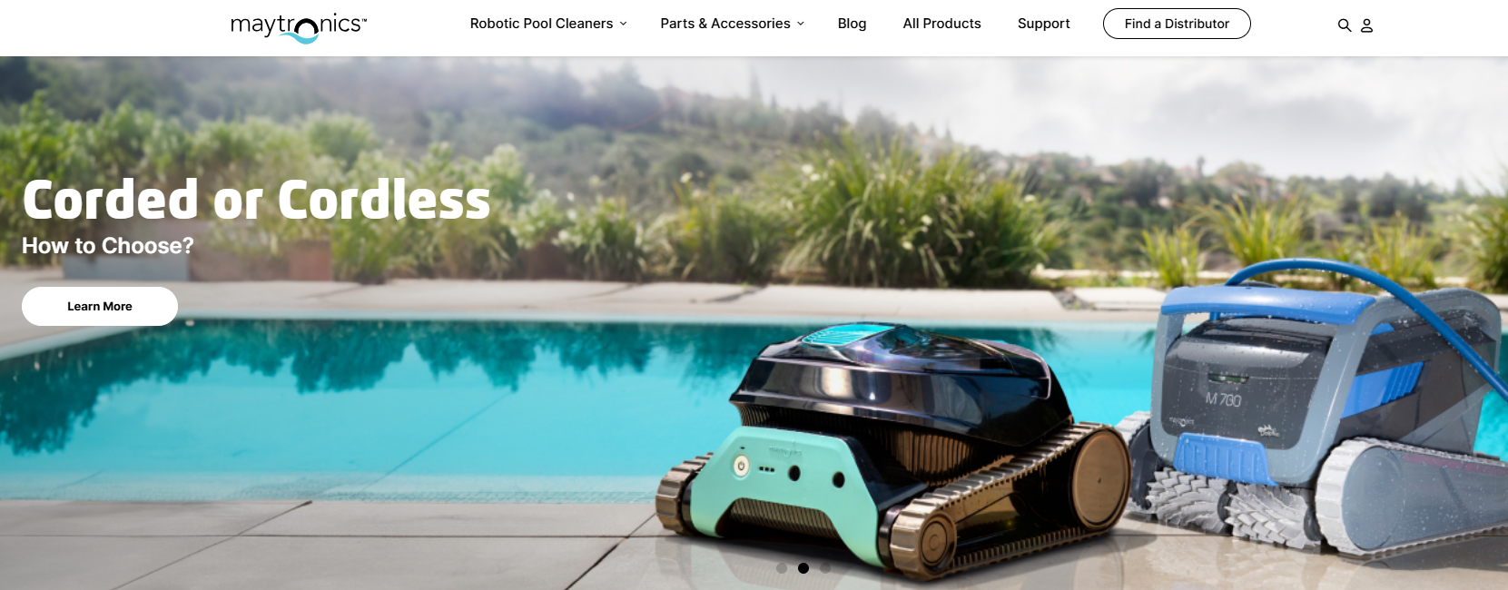 Delfin (Maytronics)